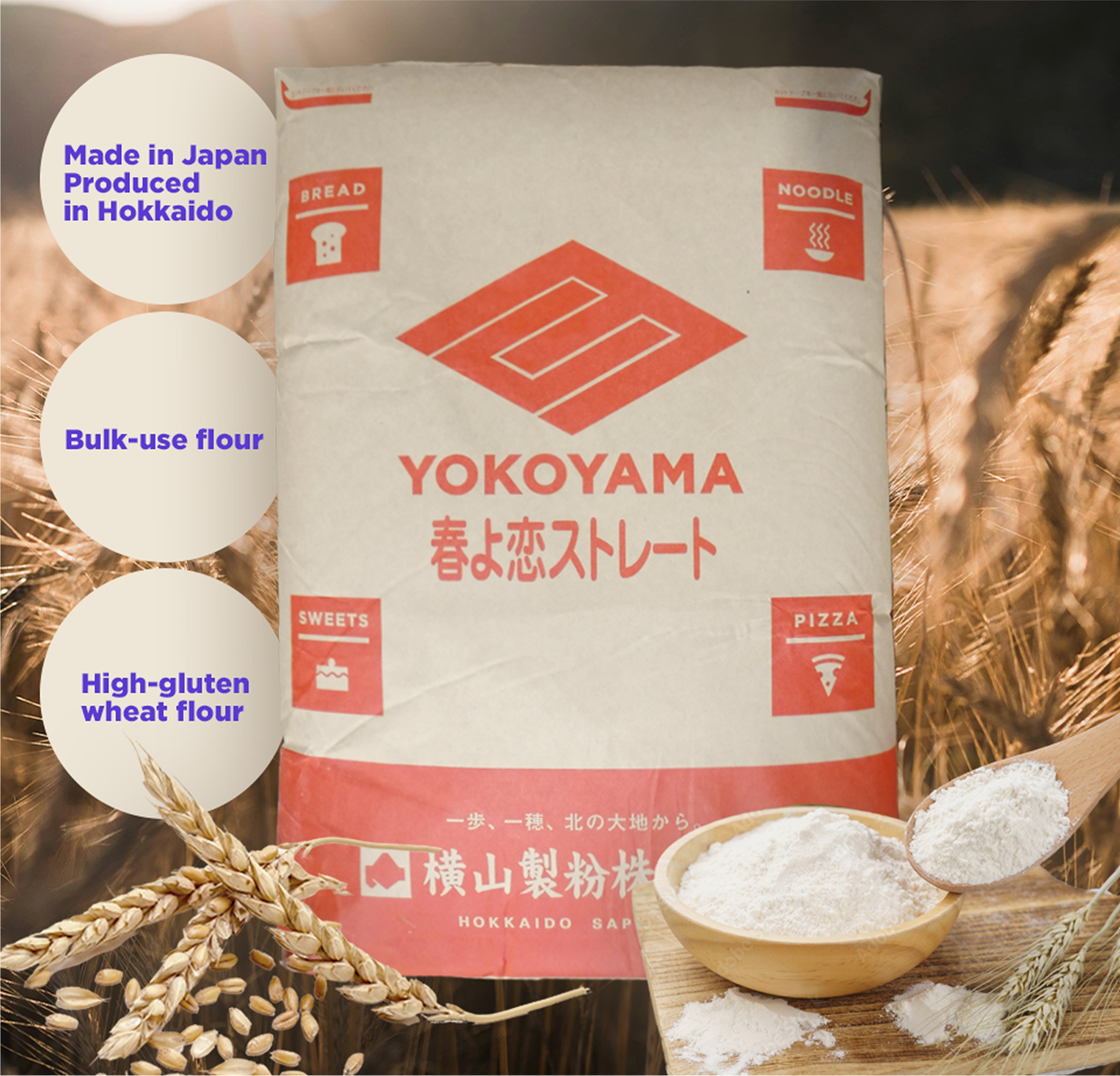 Wheat Flour (Haruyokoi Straight)